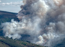Incendi boschivi in Spagna e Francia