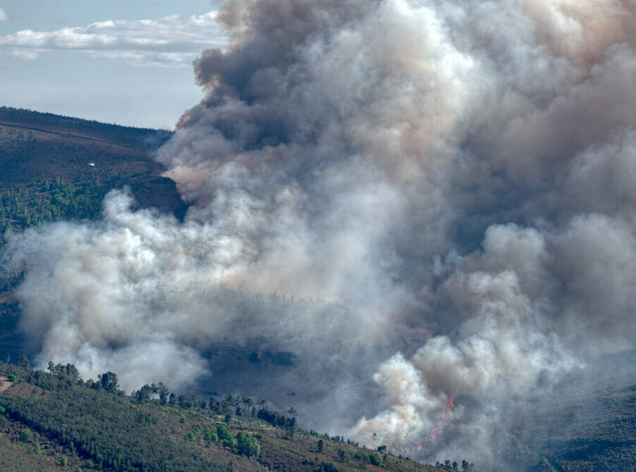 Incendi boschivi in Spagna e Francia