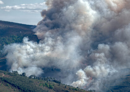 Incendio boschivo in Gironda, Francia