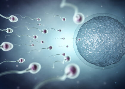 Impatto dello smog sulla fertilità maschile
