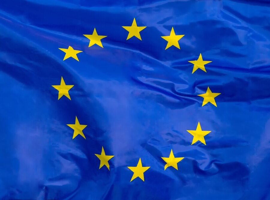 Logo di Google con sfondo europeo