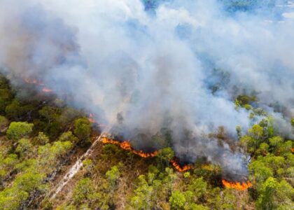 Incendi boschivi in Italia 2026