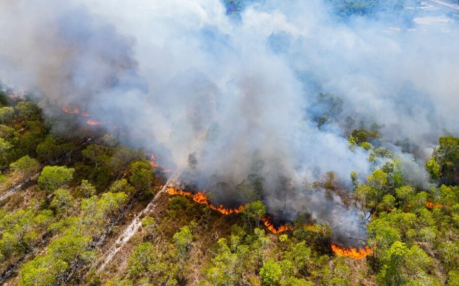 Incendi boschivi in Italia 2026