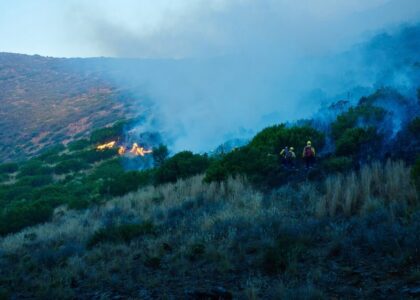 Interventi dei Vigili del Fuoco a Palermo per incendi