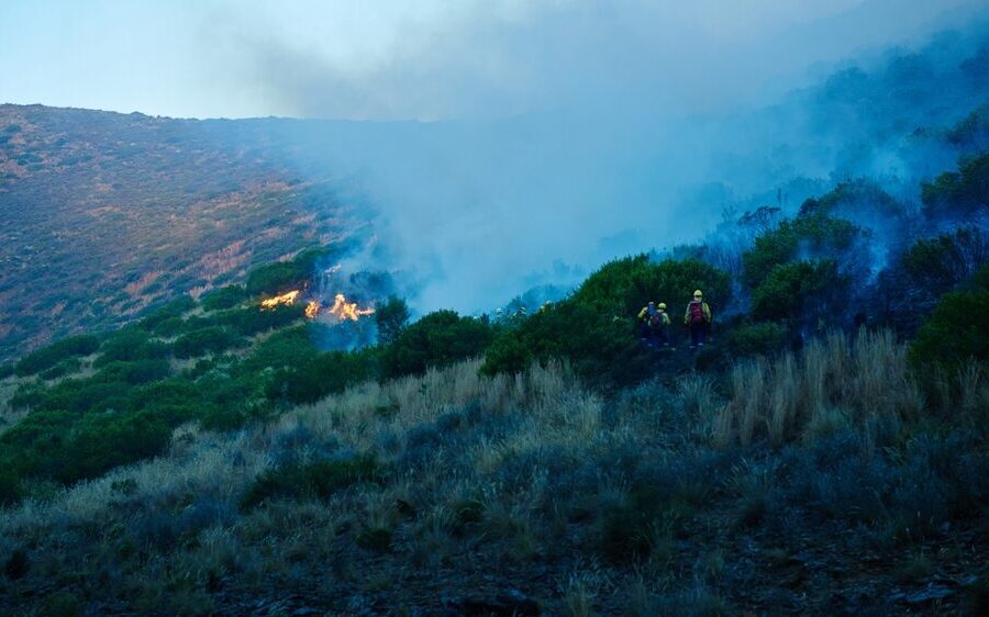 Interventi dei Vigili del Fuoco a Palermo per incendi