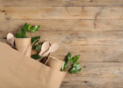 Immagine di packaging sostenibile