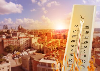 Simulazione della riduzione delle temperature urbane attraverso la riforestazione