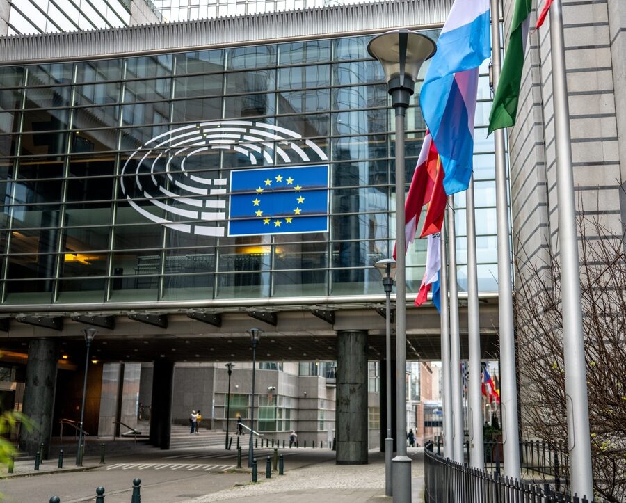 Immagine rappresentativa dell'indagine del Parlamento europeo