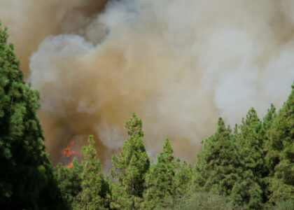 Incendi nella Gironda, Francia
