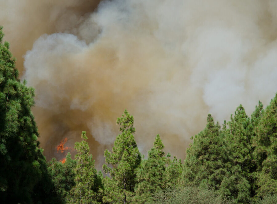 Incendi nella Gironda, Francia