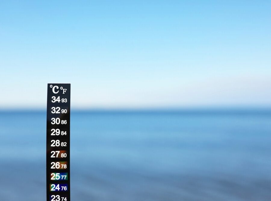 Temperatura media superficiale del mare