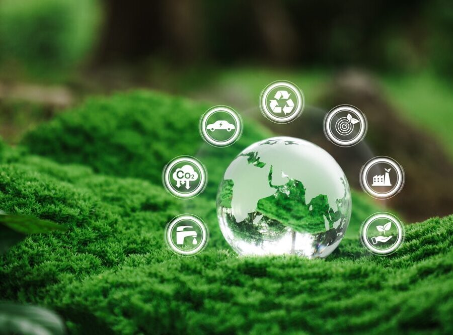 Eco Festival Roma 2026