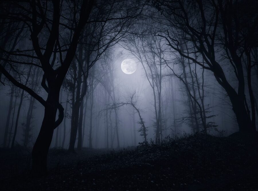 Silent Hill: Townfall - immagine del gioco