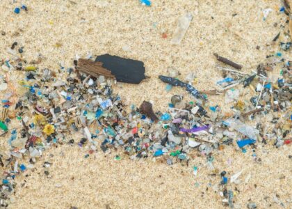 Emergenza plastica in Italia