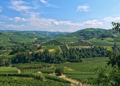 Sacchi Beer Fest 2026 a Cuneo