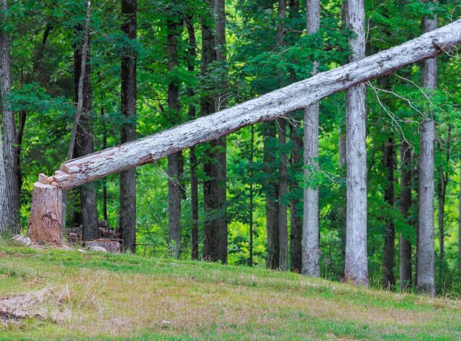 Aumento dei costi produttivi per i pannelli in legno