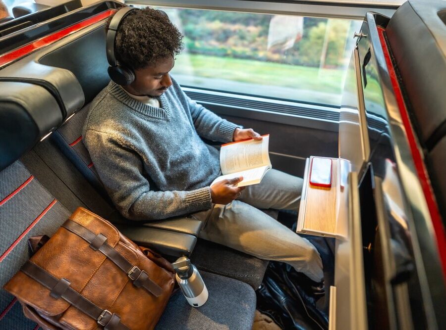 Trasporto pubblico locale in Italia